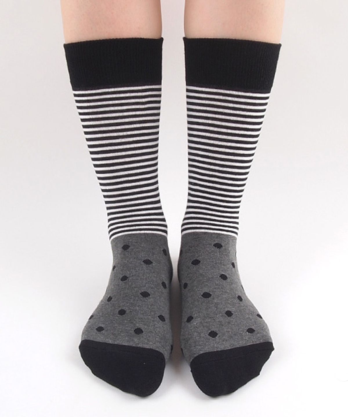 삭스더랭귀지(SOCKS THE LANGUAGE) cookiesand