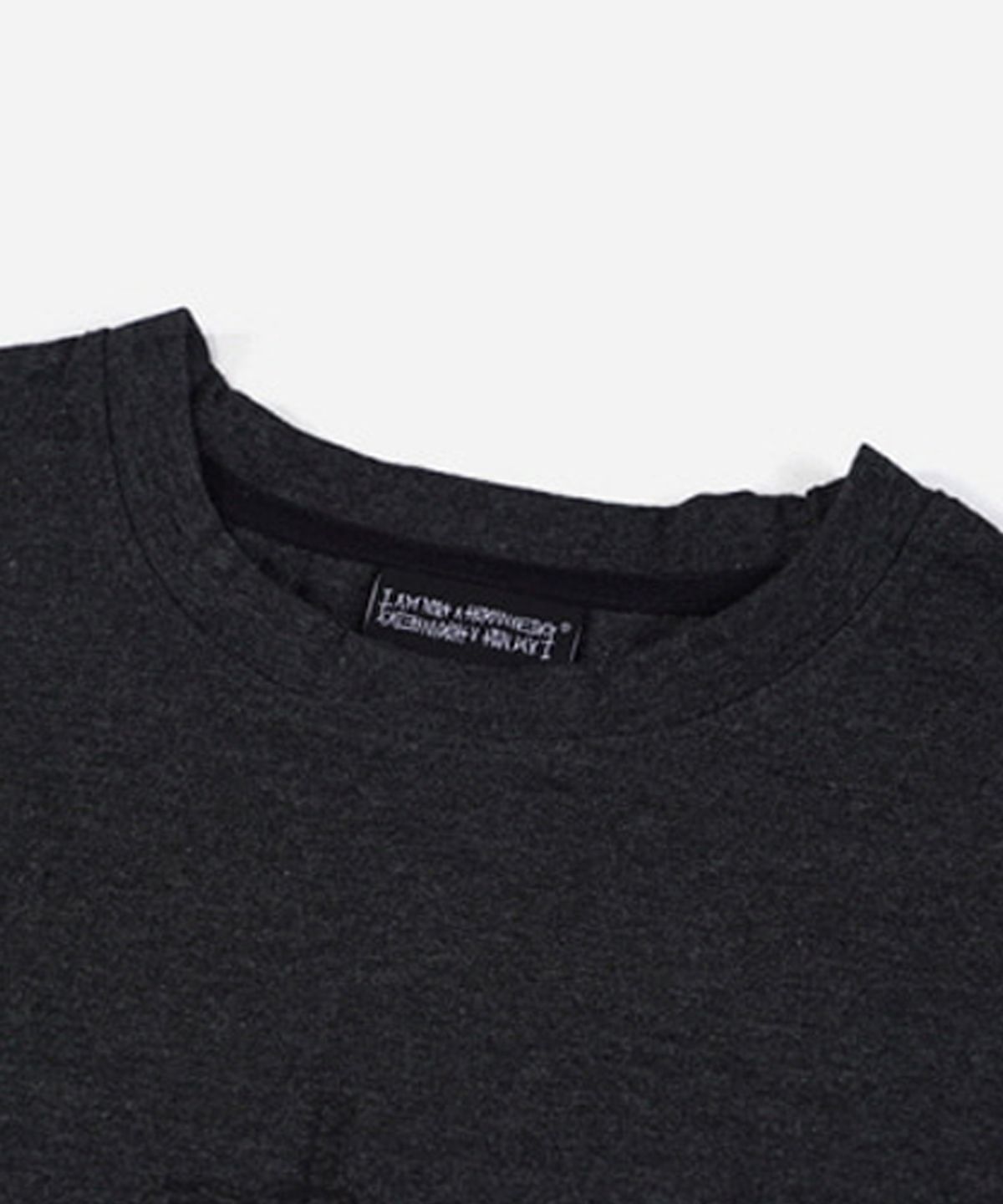 아임낫어휴먼비잉(I AM NOT A HUMAN BEING) TORSO T-SHIRT - CHARCOAL GREY