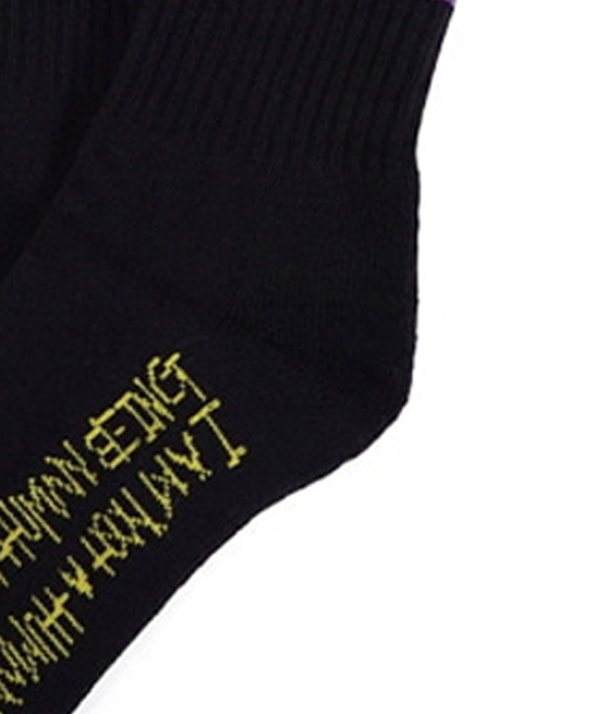 아임낫어휴먼비잉(I AM NOT A HUMAN BEING) DINO LOGO SOCKS - BLACK