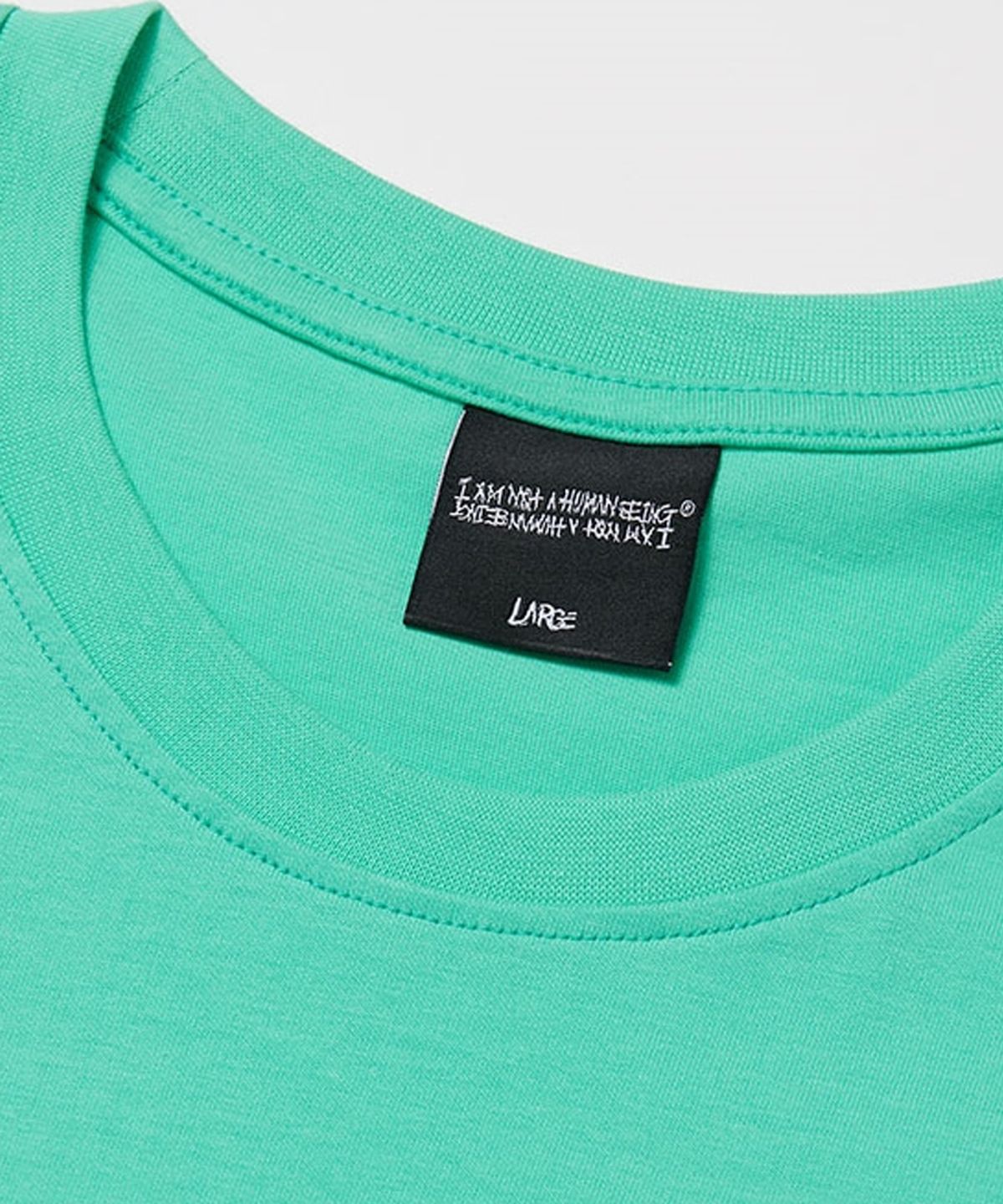 아임낫어휴먼비잉(I AM NOT A HUMAN BEING) Embroidery Front Short Sleeve T-Shirt - MINT
