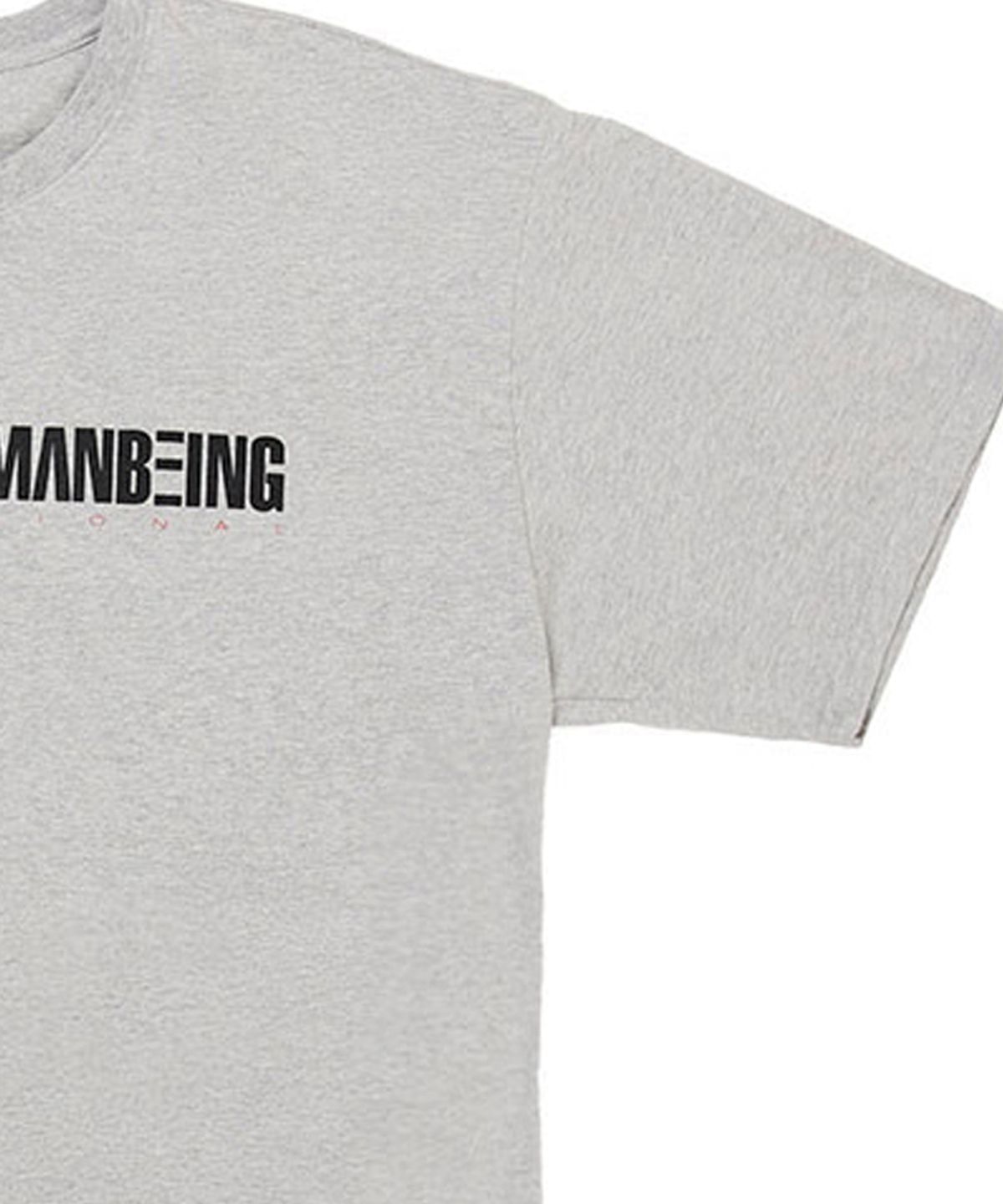아임낫어휴먼비잉(I AM NOT A HUMAN BEING) I AM NOT A HUMANBEING Short Sleeve T-Shirt - GREY