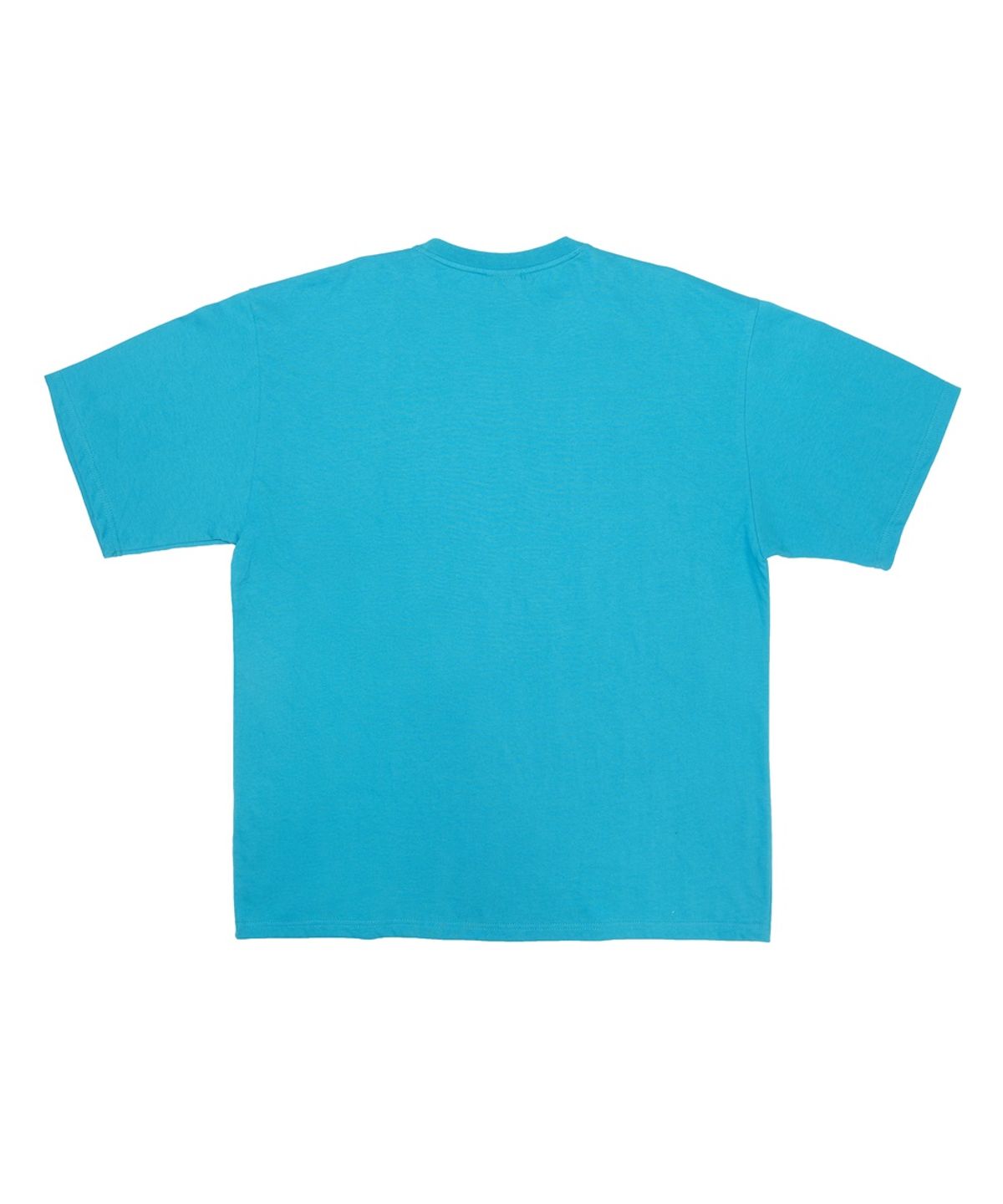 아임낫어휴먼비잉(I AM NOT A HUMAN BEING) Comics Printing Tee - TEAL