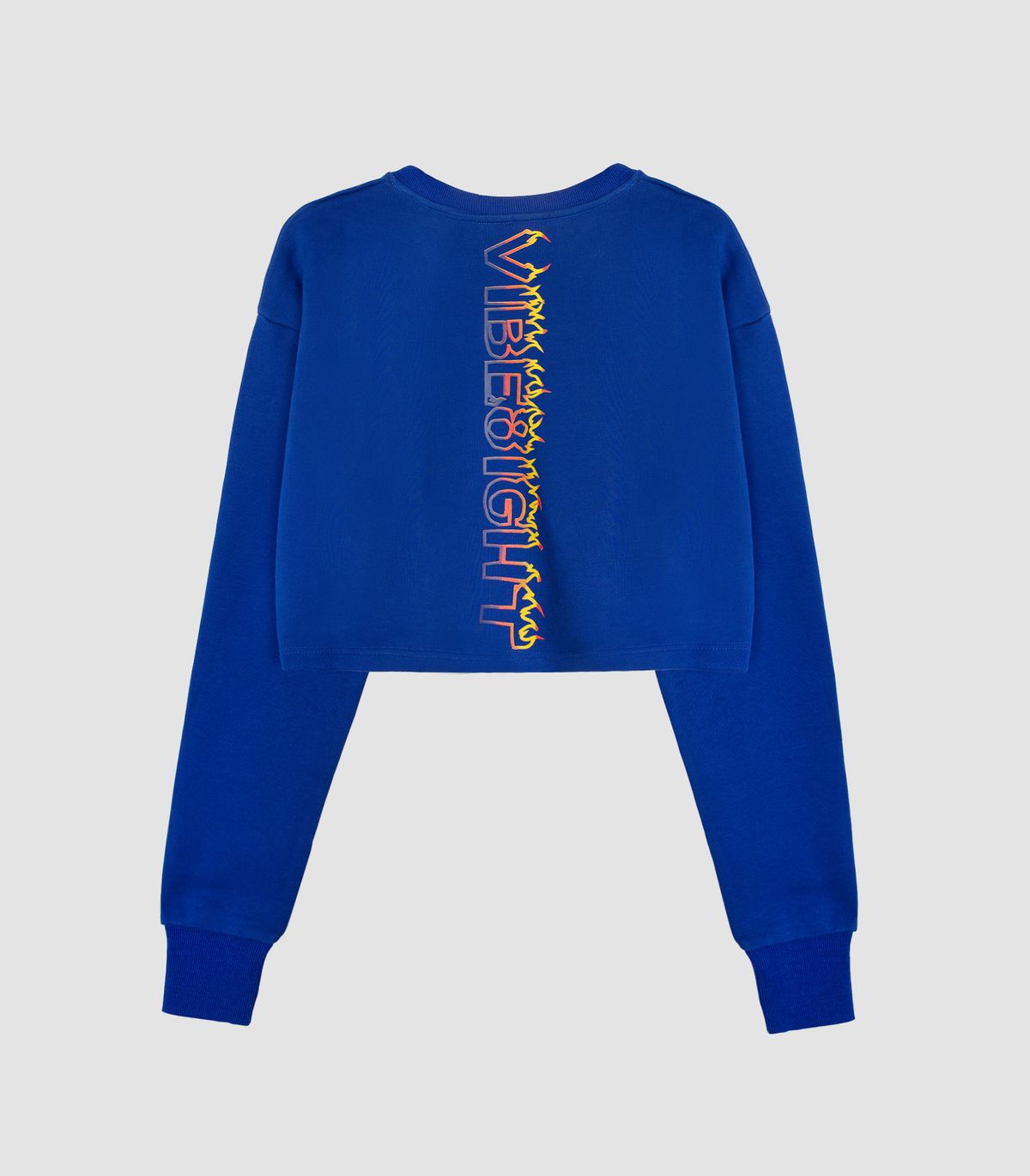 바이브레이트(VIBRATE) BLAZE LOGO CROP TOP (BLUE)