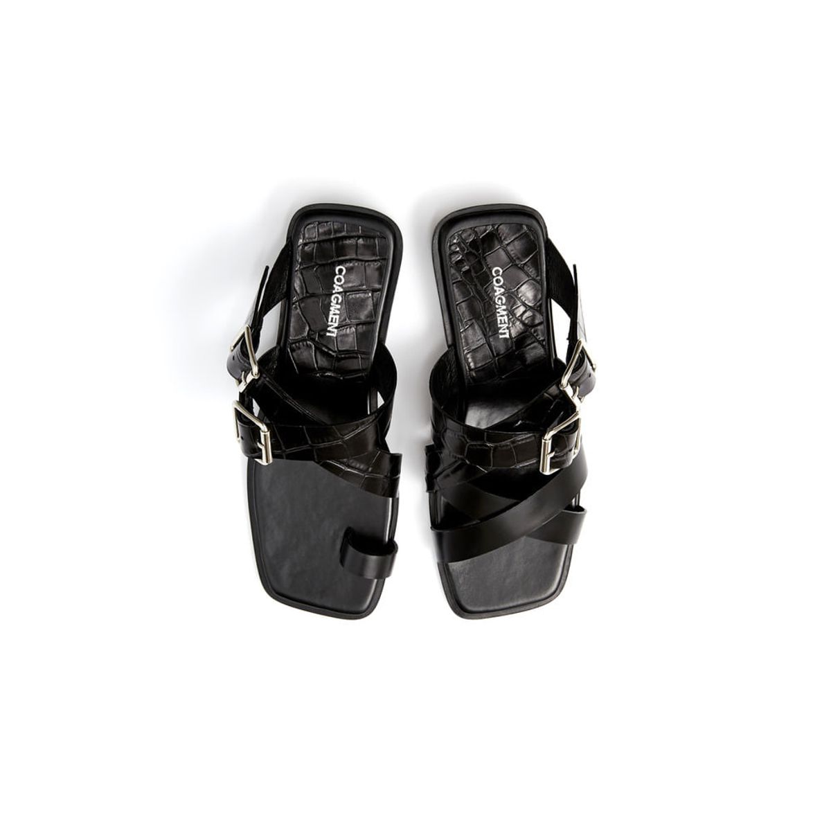 코아그먼트(COAGMENT) CM19S201-Black [DINO]