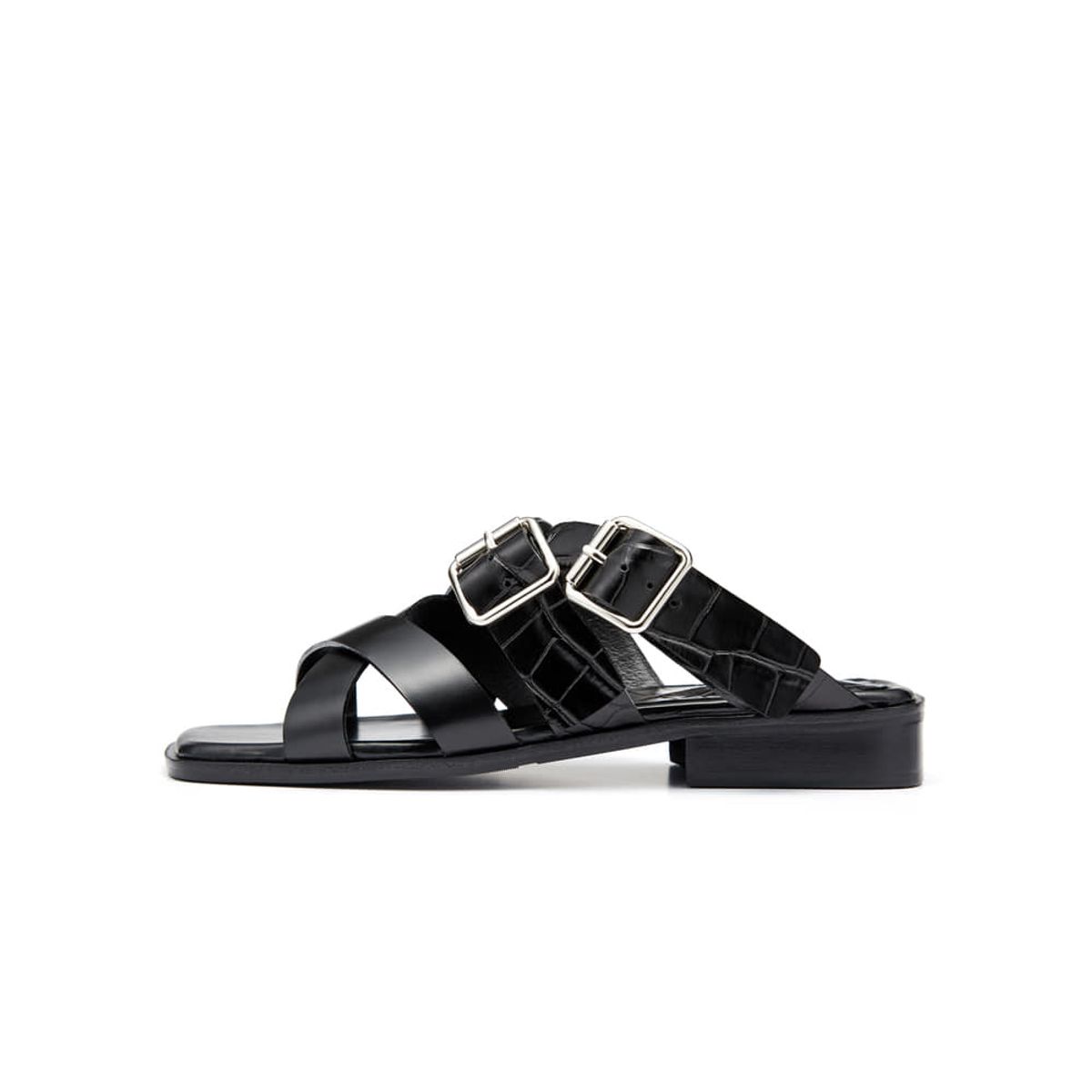 코아그먼트(COAGMENT) CM19S201-Black [DINO]