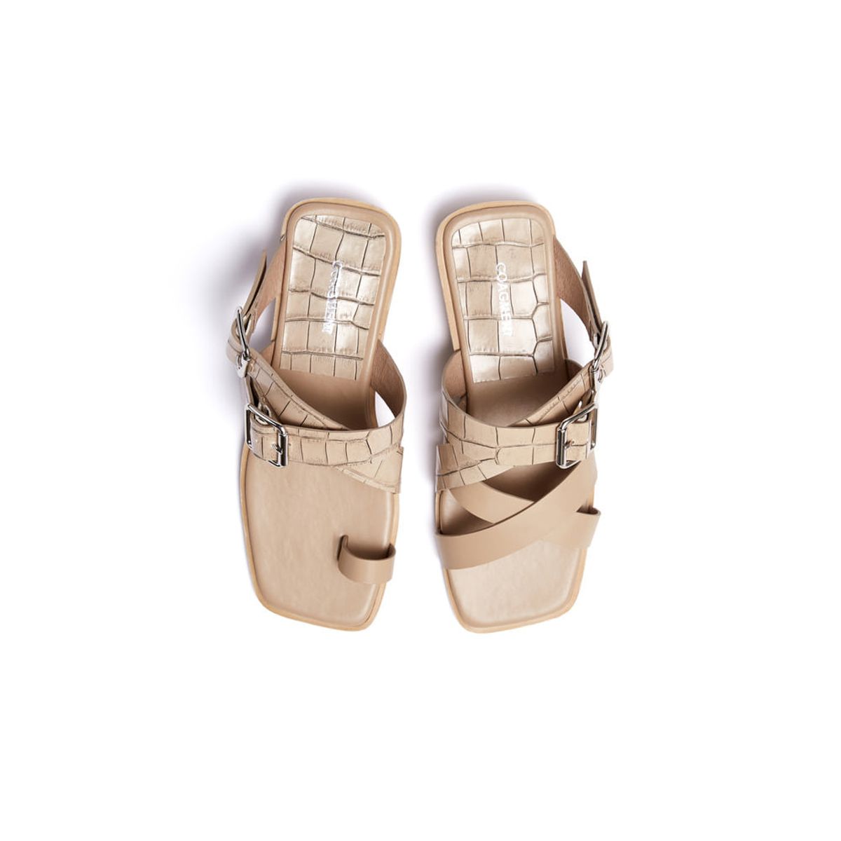 코아그먼트(COAGMENT) CM19S201-Beige [DINO]