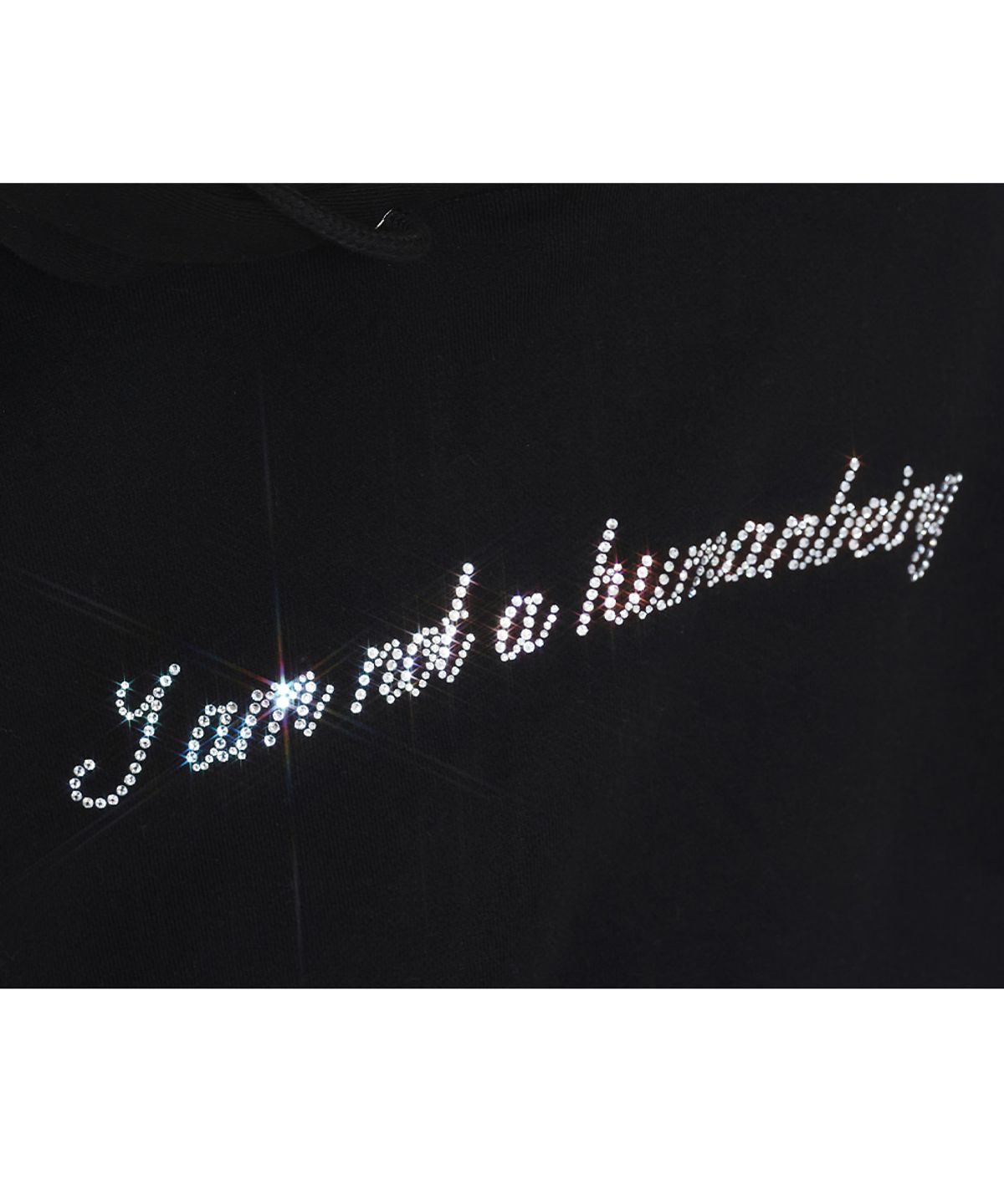 아임낫어휴먼비잉(I AM NOT A HUMAN BEING) Rhinestone Hoody - Black