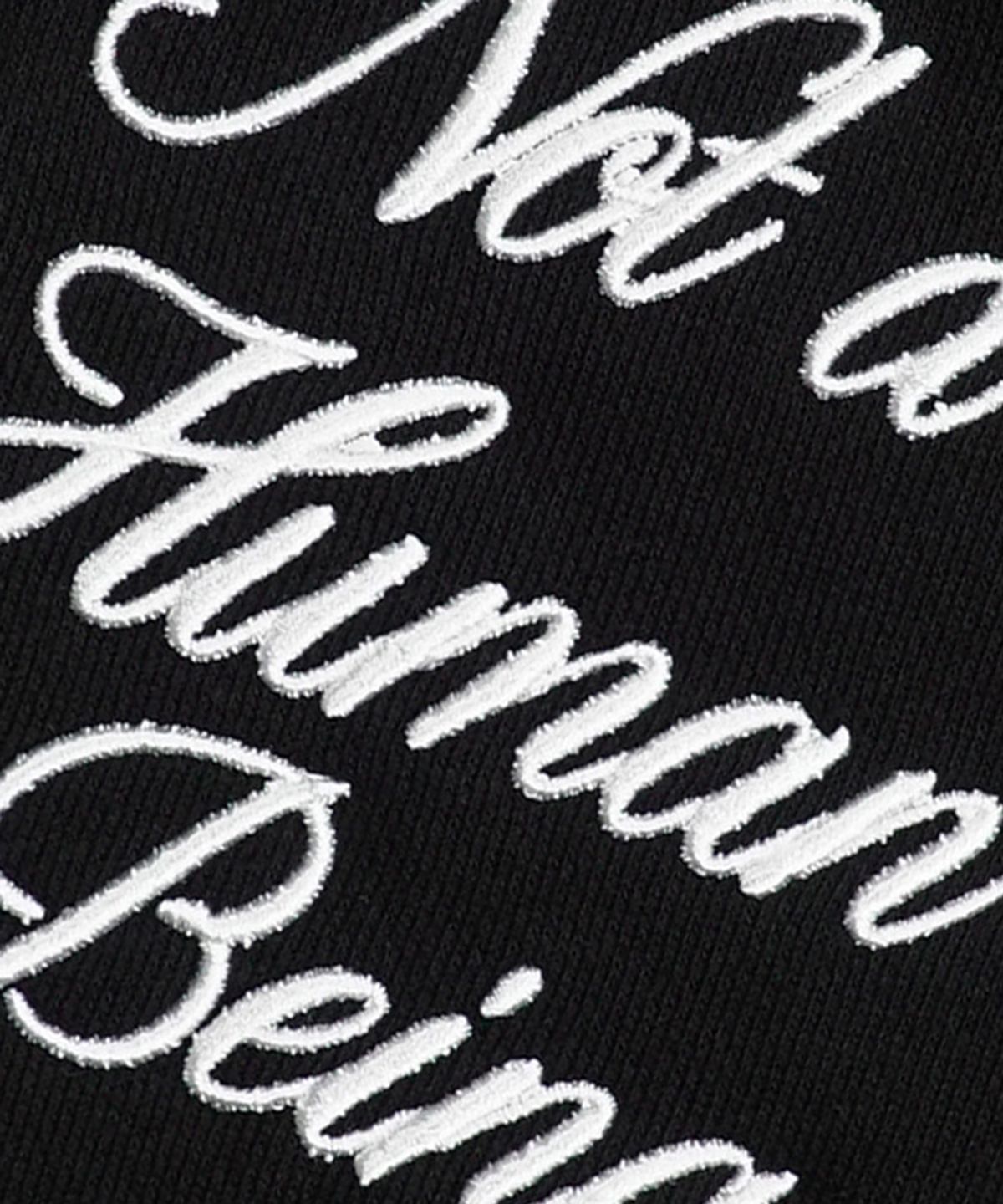 아임낫어휴먼비잉(I AM NOT A HUMAN BEING) New Basic Script Hoody - Black