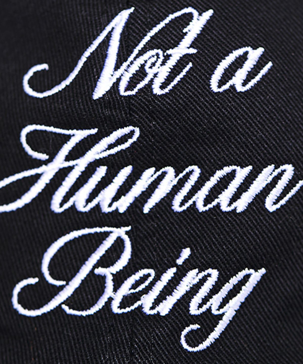 아임낫어휴먼비잉(I AM NOT A HUMAN BEING) New Basic Script Cap - Black