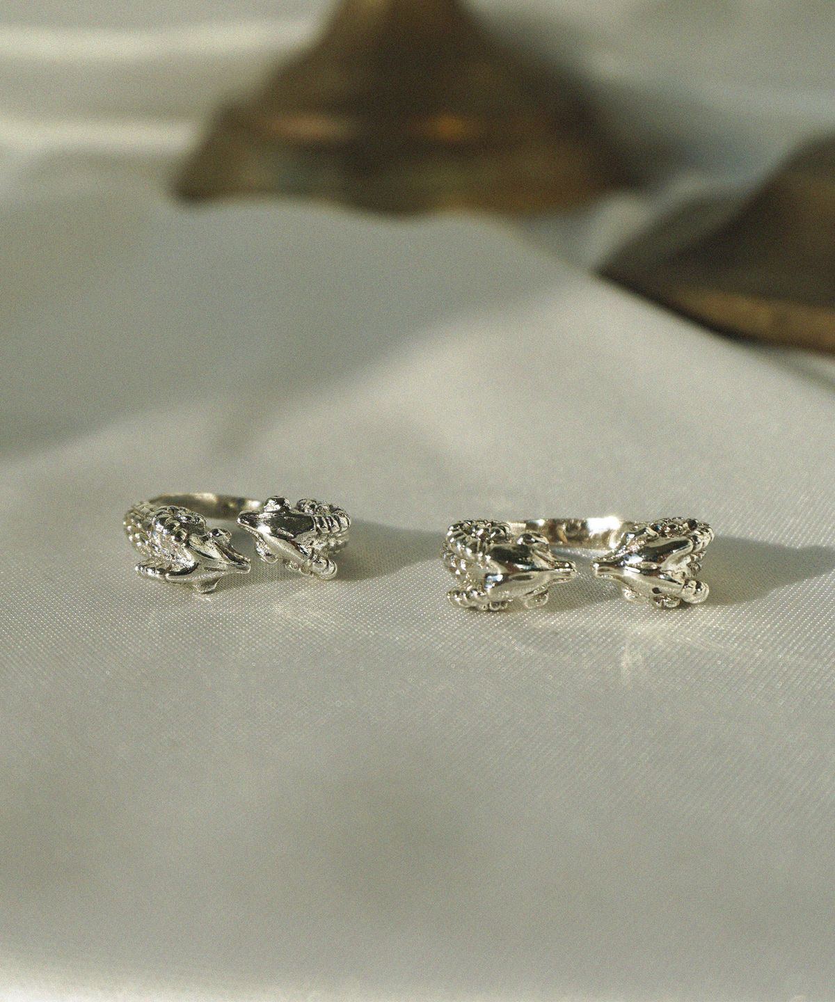 비자르 주얼리(BIZARRE JEWELRY) 더블 고트 반지