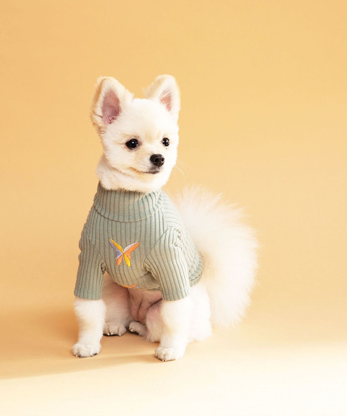페티풀(PETIFUL) 트윙클 소프트 터틀넥 - 민트