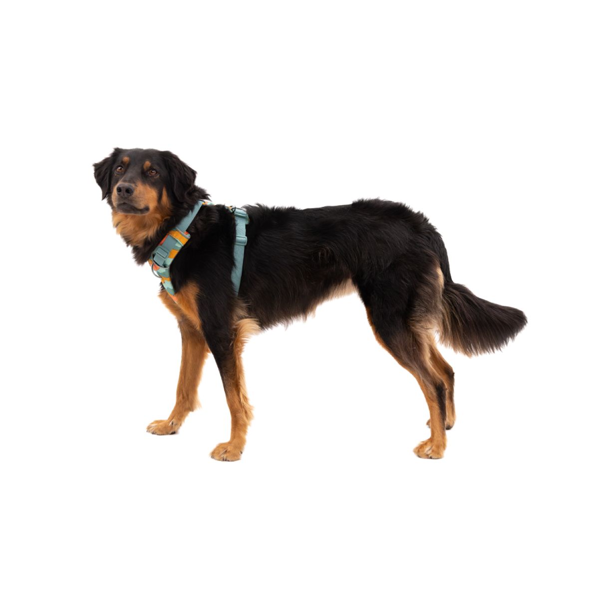 러프웨어(RUFFWEAR) 프런트 레인지 하네스 (Front Range™ Harness)