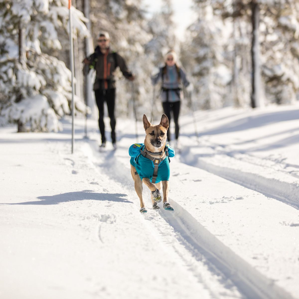 러프웨어(RUFFWEAR) 싱글트랙 팩 반려견 배낭(Singletrak™ Pack)