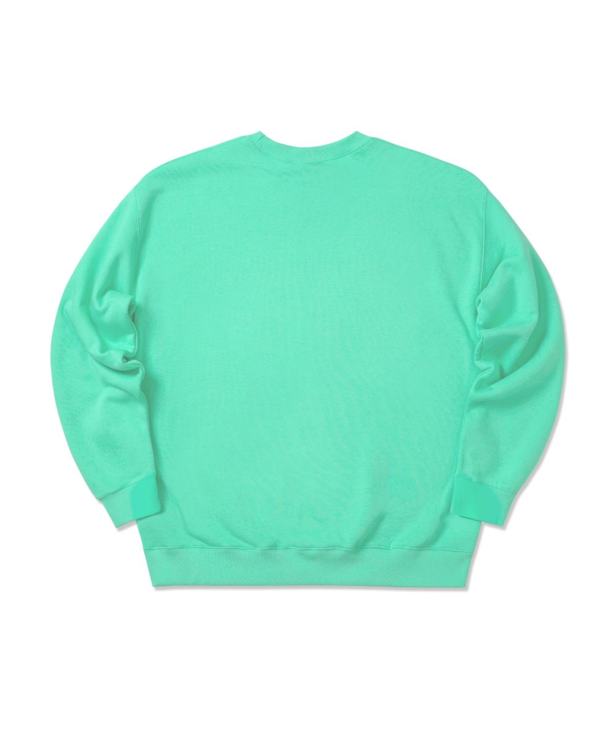 아임낫어휴먼비잉(I AM NOT A HUMAN BEING) Basic Logo Crewneck - MINT