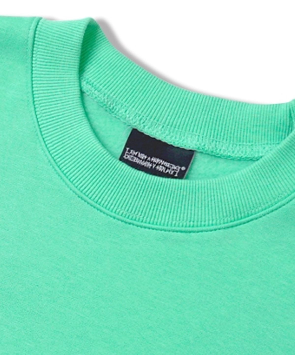 아임낫어휴먼비잉(I AM NOT A HUMAN BEING) Basic Logo Crewneck - MINT