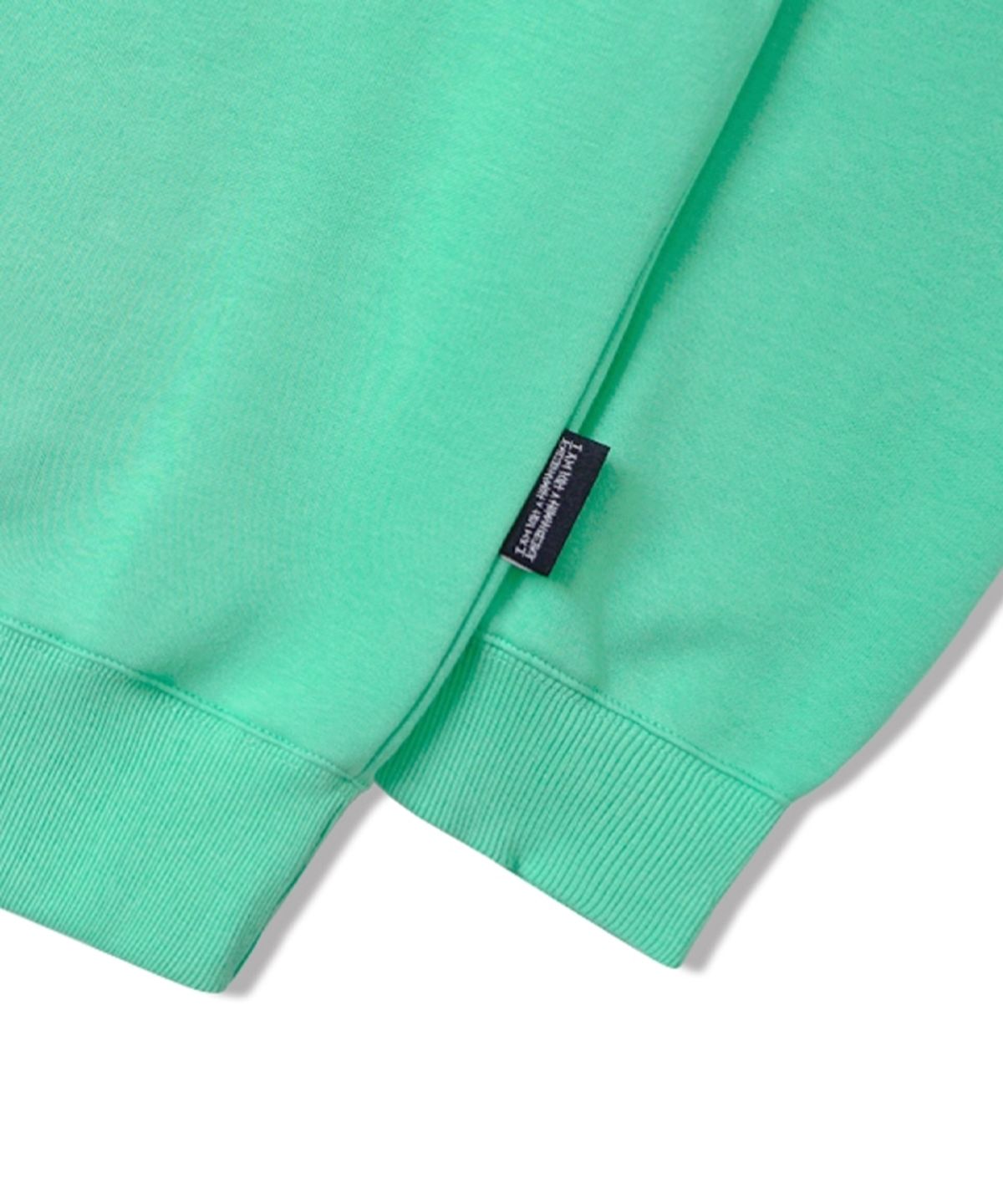 아임낫어휴먼비잉(I AM NOT A HUMAN BEING) Basic Logo Crewneck - MINT