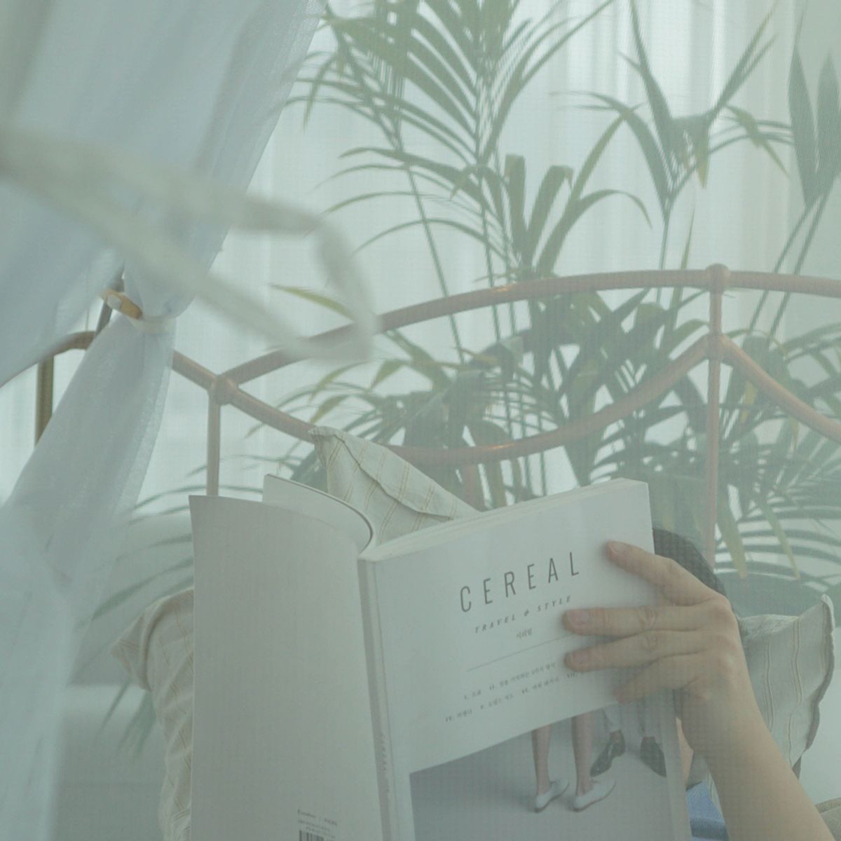 조이비(JOYBEE) 모기장 텐트 Montsine/ 이슬비 맺힌 나뭇잎