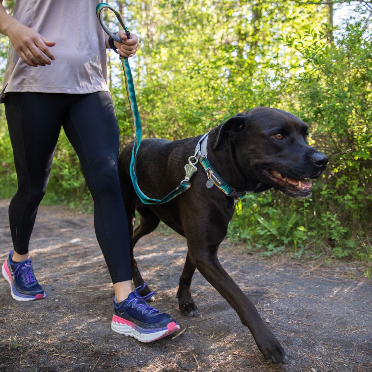 러프웨어(RUFFWEAR) 웹 리액션 목줄(Web Reaction™ Collar)