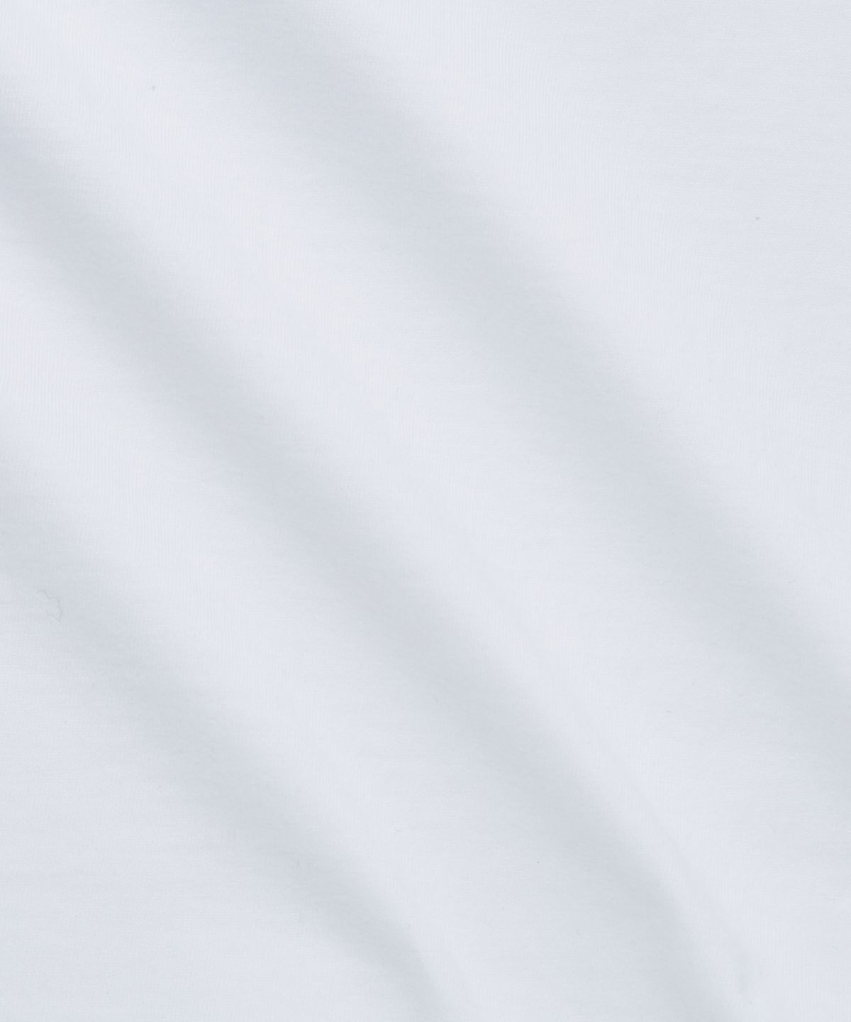 스트리트 스탠다드(STREET STANDARD) D.S.L LOGO S/SLV T-SHIRTS