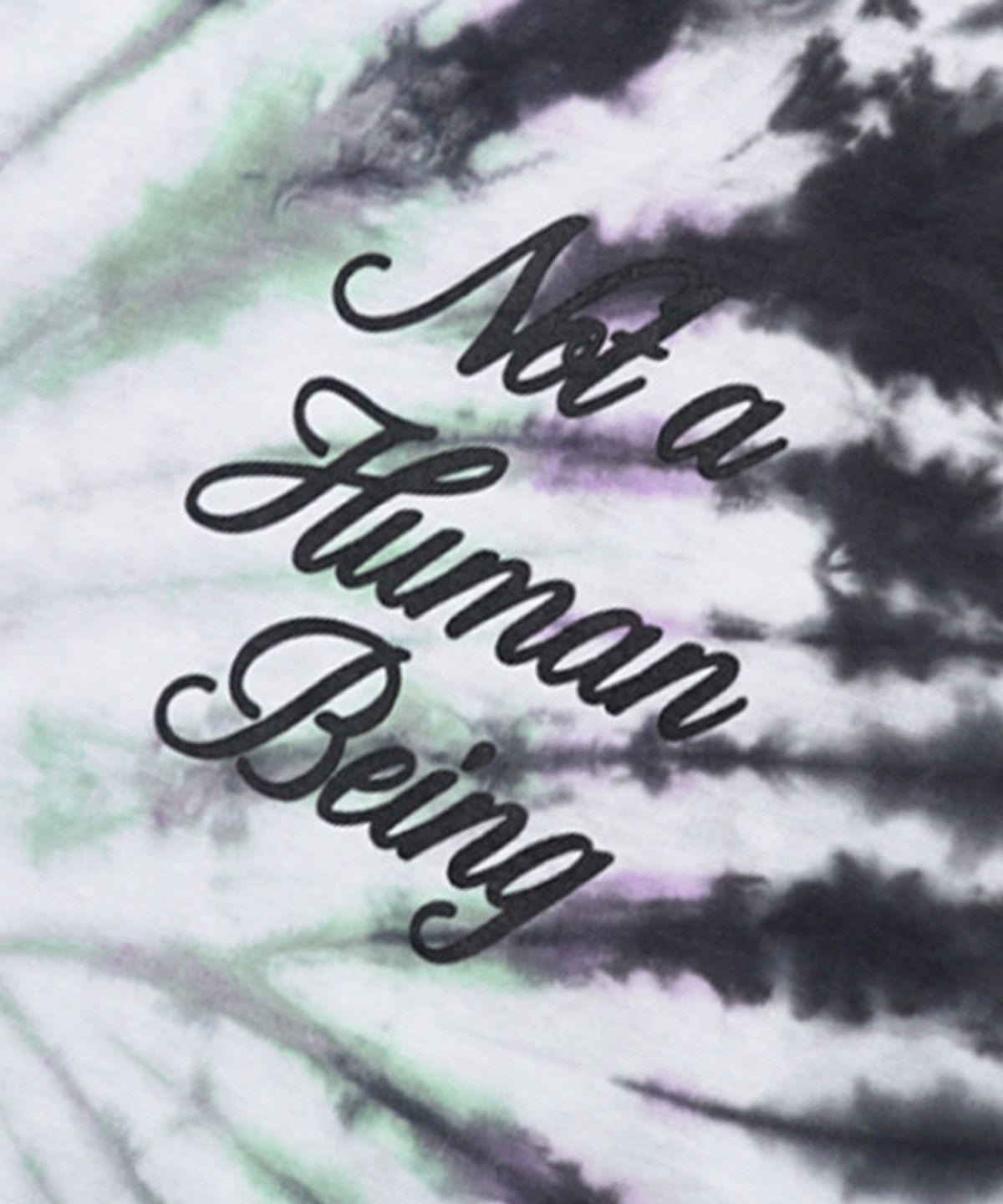 아임낫어휴먼비잉(I AM NOT A HUMAN BEING) TIE-DYE RAINBOW TEE - Multi GREEN