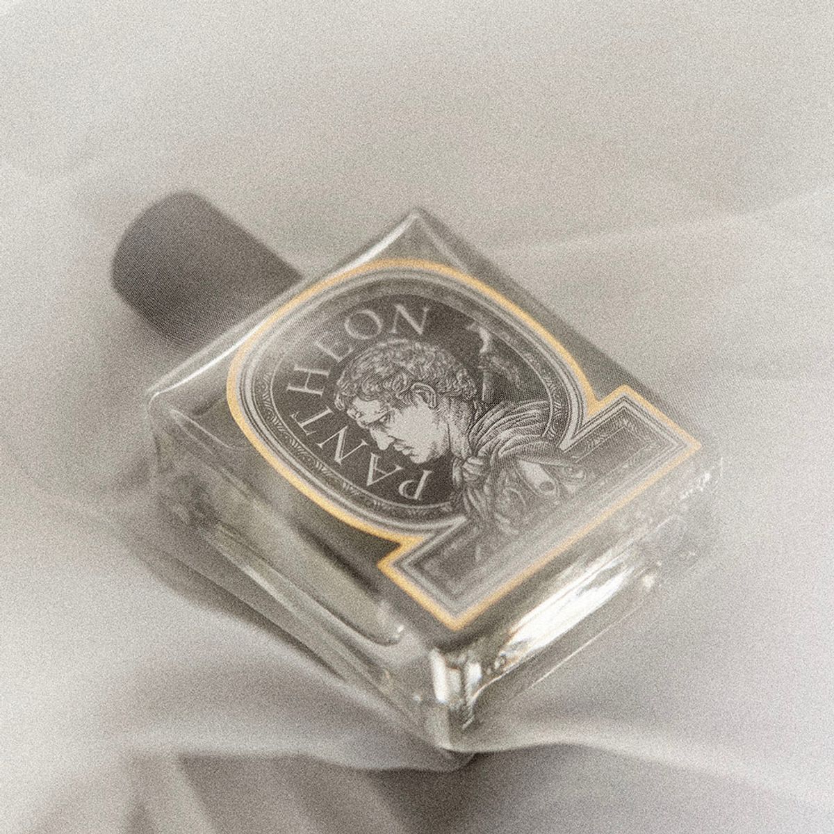 그레이그라운드(GREYGROUND) 판테온 퍼퓸 향수 50ml