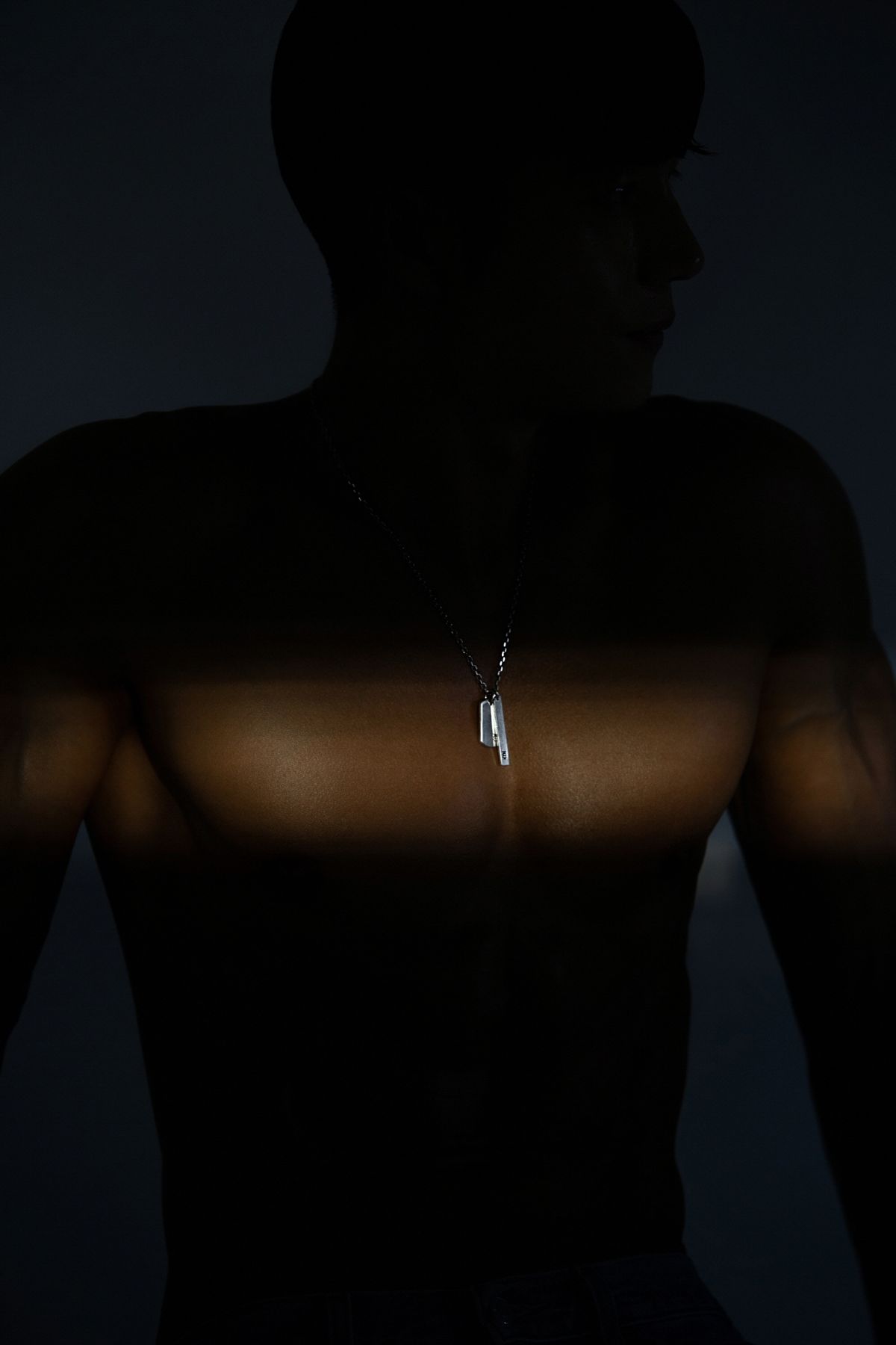 스팅925(STING925) Sting Dog Tag