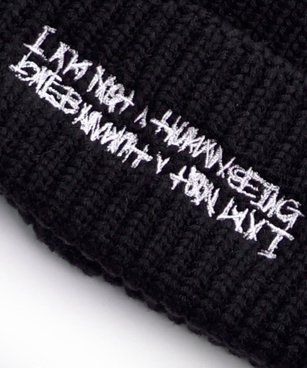아임낫어휴먼비잉(I AM NOT A HUMAN BEING) BASIC LOGO BEANIE - BLACK