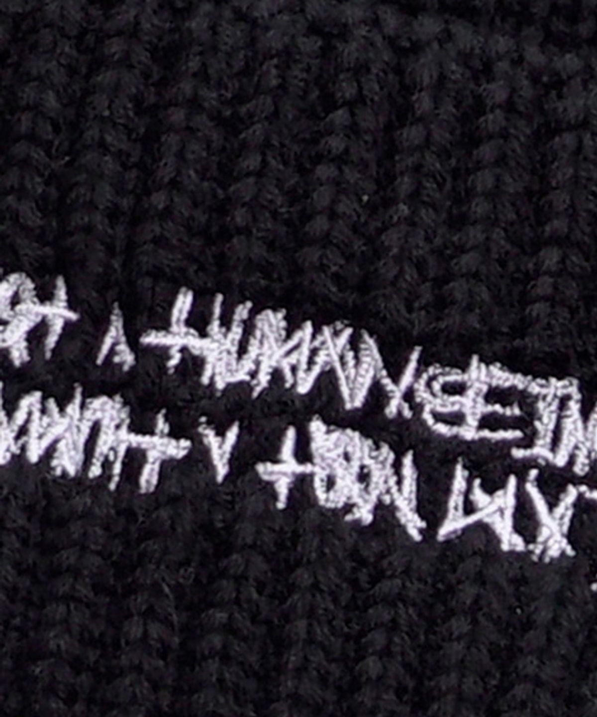 아임낫어휴먼비잉(I AM NOT A HUMAN BEING) BASIC LOGO BEANIE - BLACK