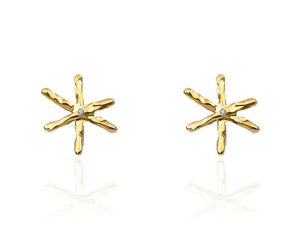 파피(POPPI) The classical star earrings no.1