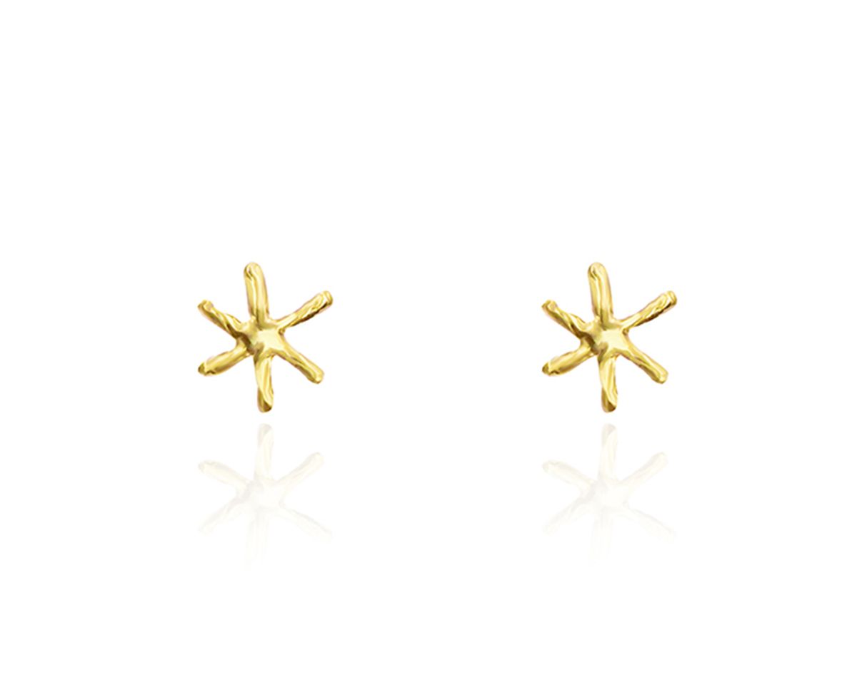 파피(POPPI) The classical star earrings no.2