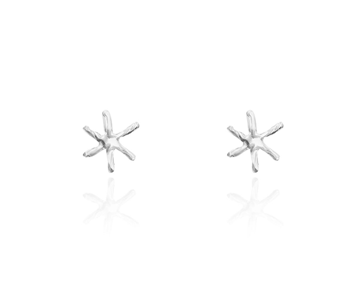 파피(POPPI) The classical star earrings no.2