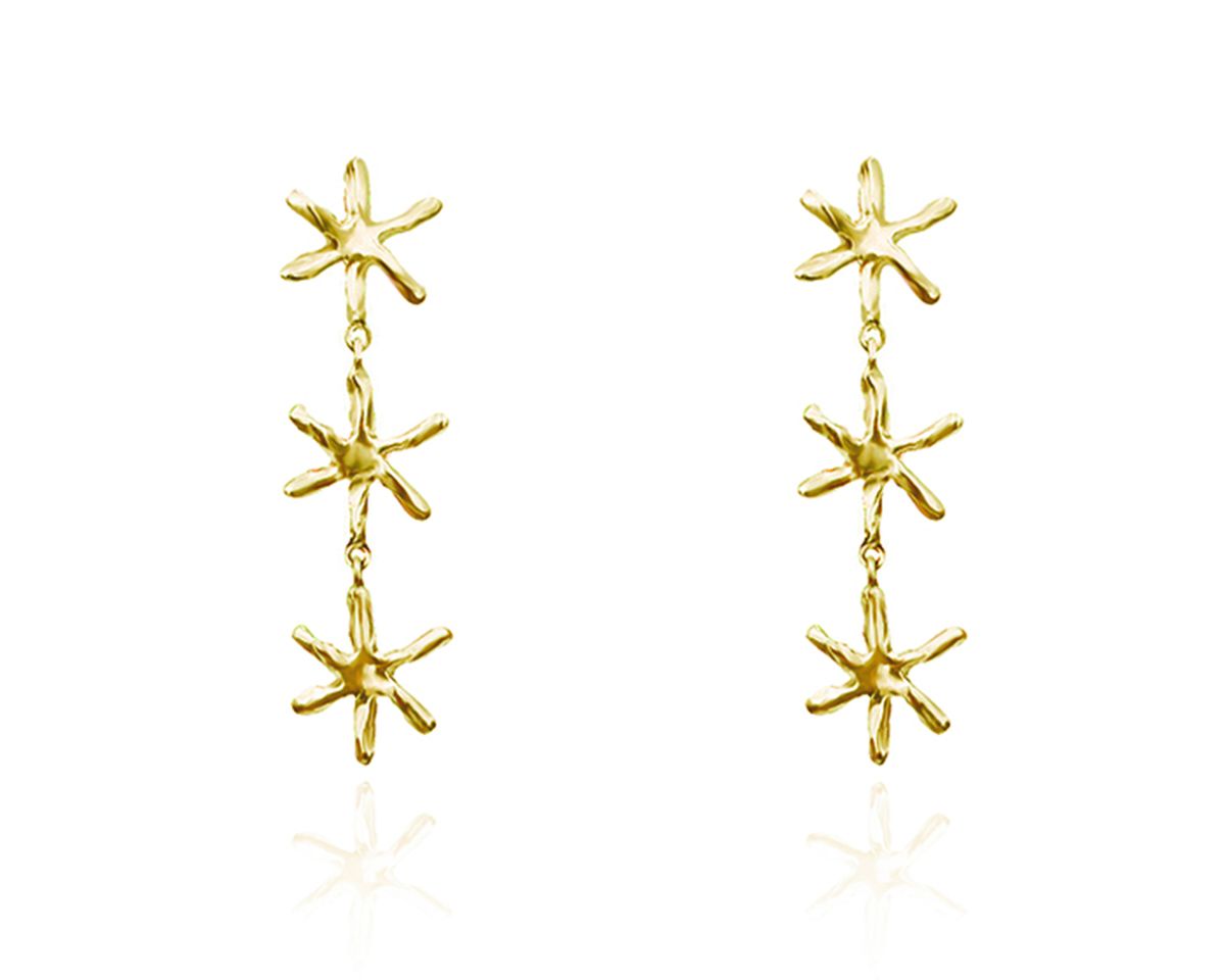 파피(POPPI) The classical star earrings no.4