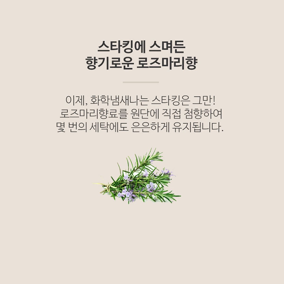 선미몰(SUNMIMALL) 20D 올인원스타킹 속바지일체형 단품(스킨/커피/블랙)