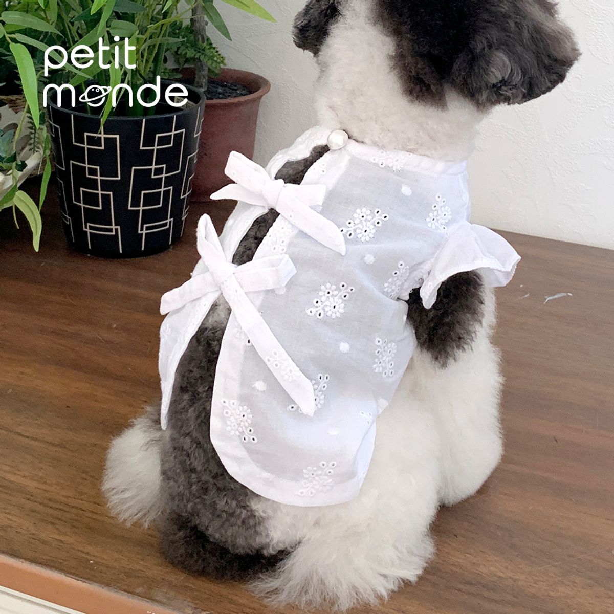 쁘띠몽드(PETIT MONDE) 리아 리본 레이스 블라우스