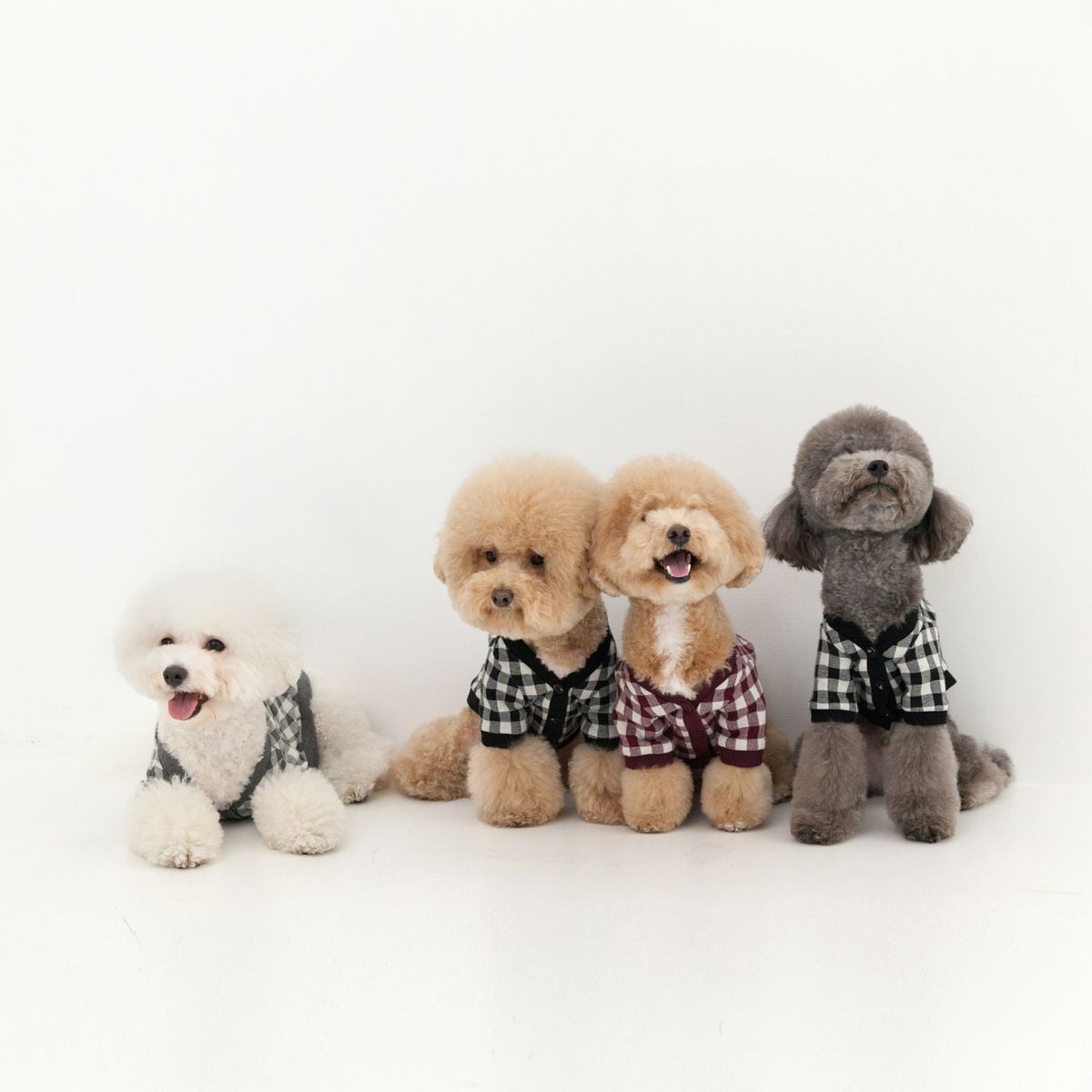 헤이버디(HEY BUDDY) 스튜던트 가디건_차콜