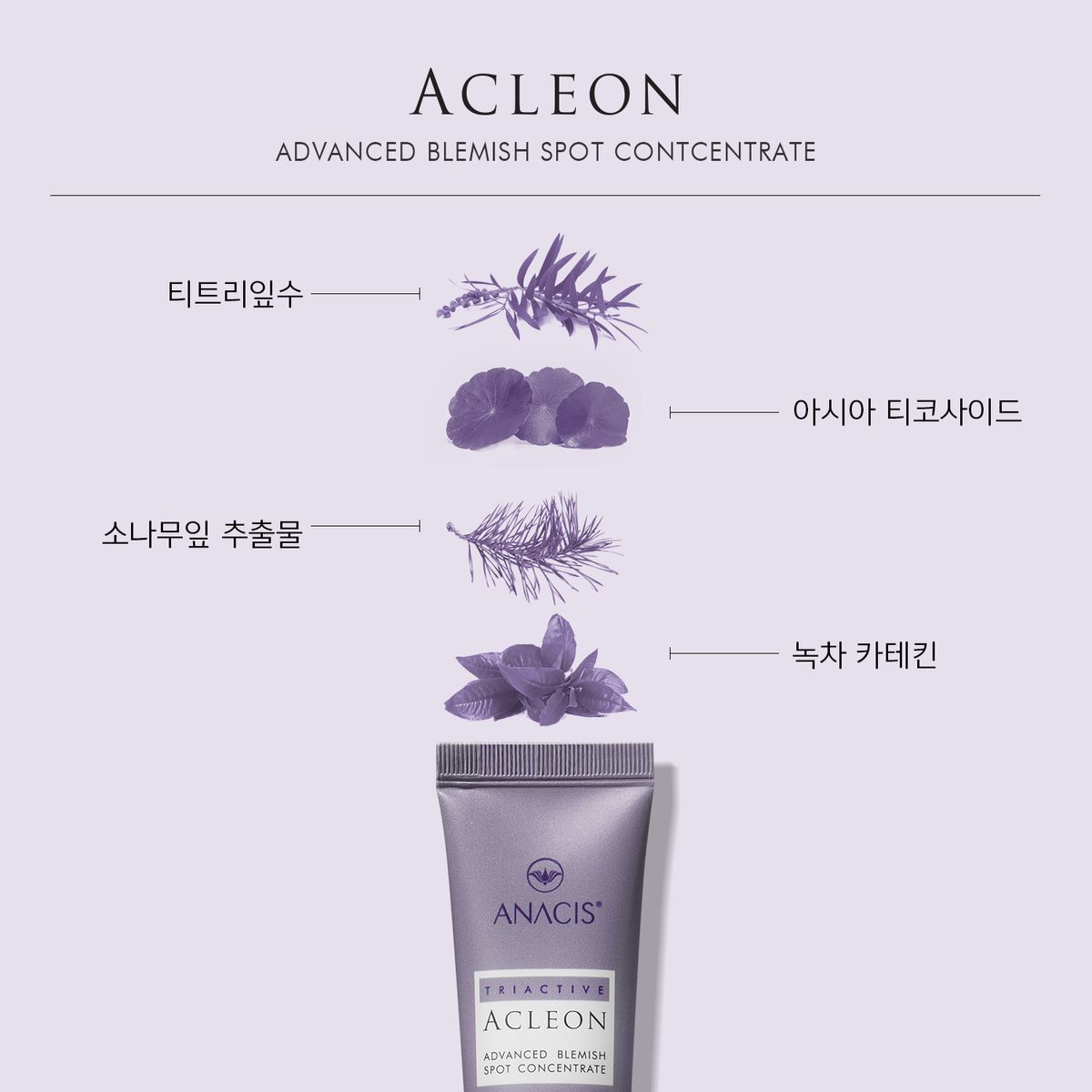 아클레온(ACLEON) 아나시스 약알칼리성클렌징폼 여드름연고 2종