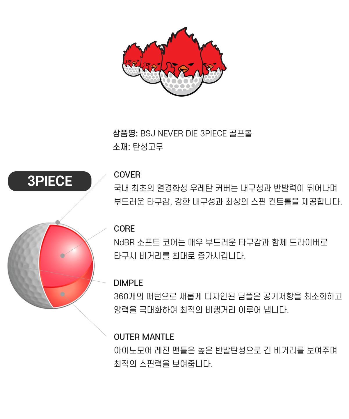 비에스제이(BSJ) 박사장 네버다이 3피스 골프공  불사조 골프공