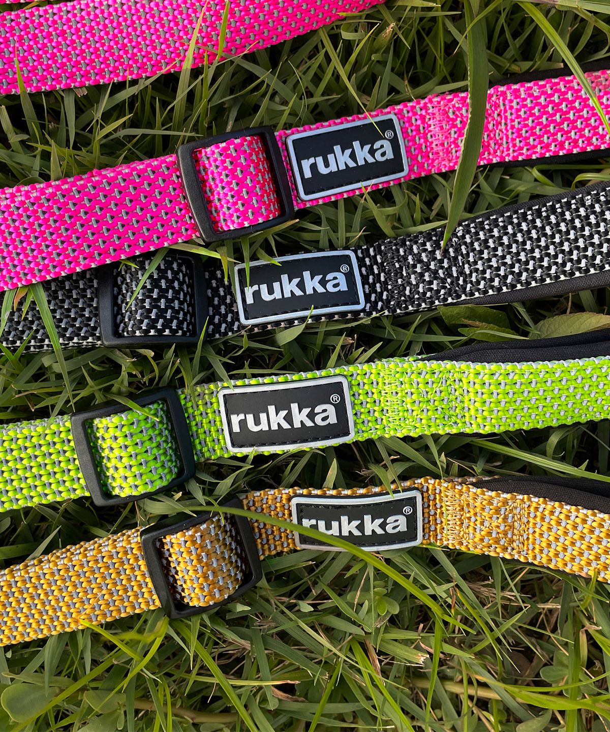 루카펫(RUKKAPETS) 스타 리쉬