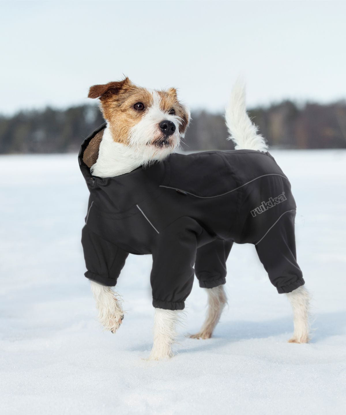 루카펫(RUKKAPETS) 써말 패딩 방한 겨울옷