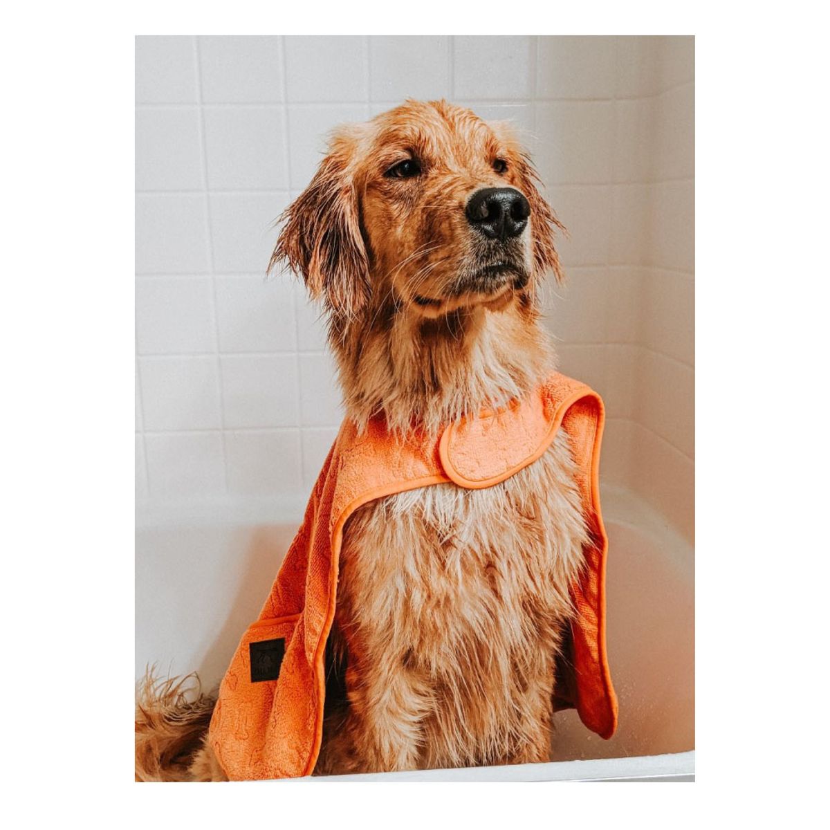 톨테일즈(TALLTAILS) CAPE TOWEL 반려견 목욕타월