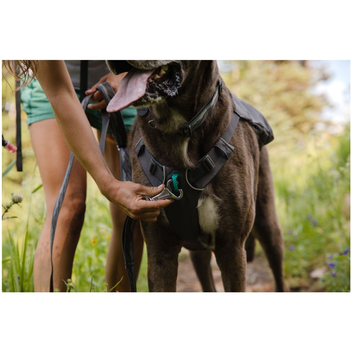 러프웨어(RUFFWEAR) 스위치백 하네스(Switchbak™ Harness)
