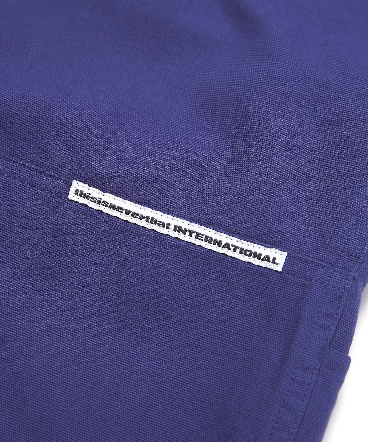 디스이즈네버댓(THISISNEVERTHAT) (SS21) Carpenter Pant Blue