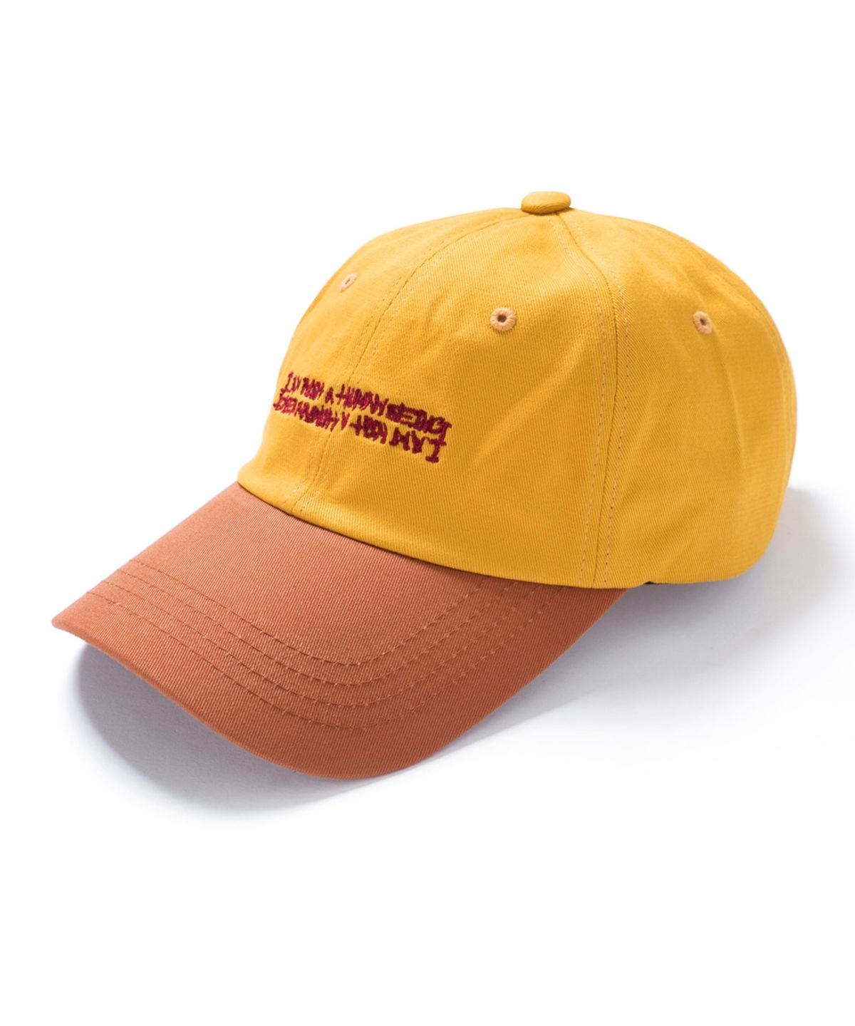 아임낫어휴먼비잉(I AM NOT A HUMAN BEING) BASIC LOGO MULTICOLOR CAP - MUSTARD&BROWN
