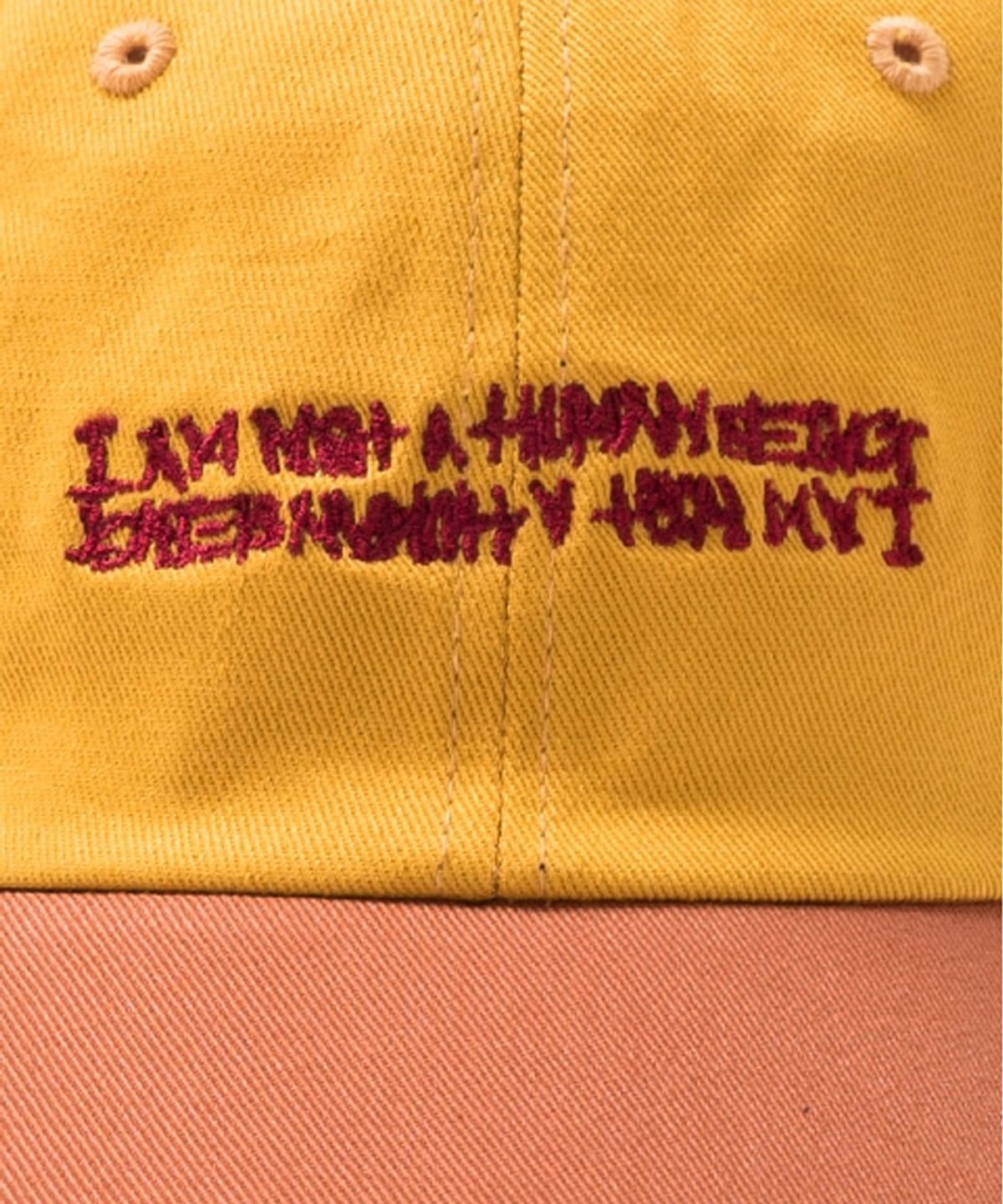 아임낫어휴먼비잉(I AM NOT A HUMAN BEING) BASIC LOGO MULTICOLOR CAP - MUSTARD&BROWN