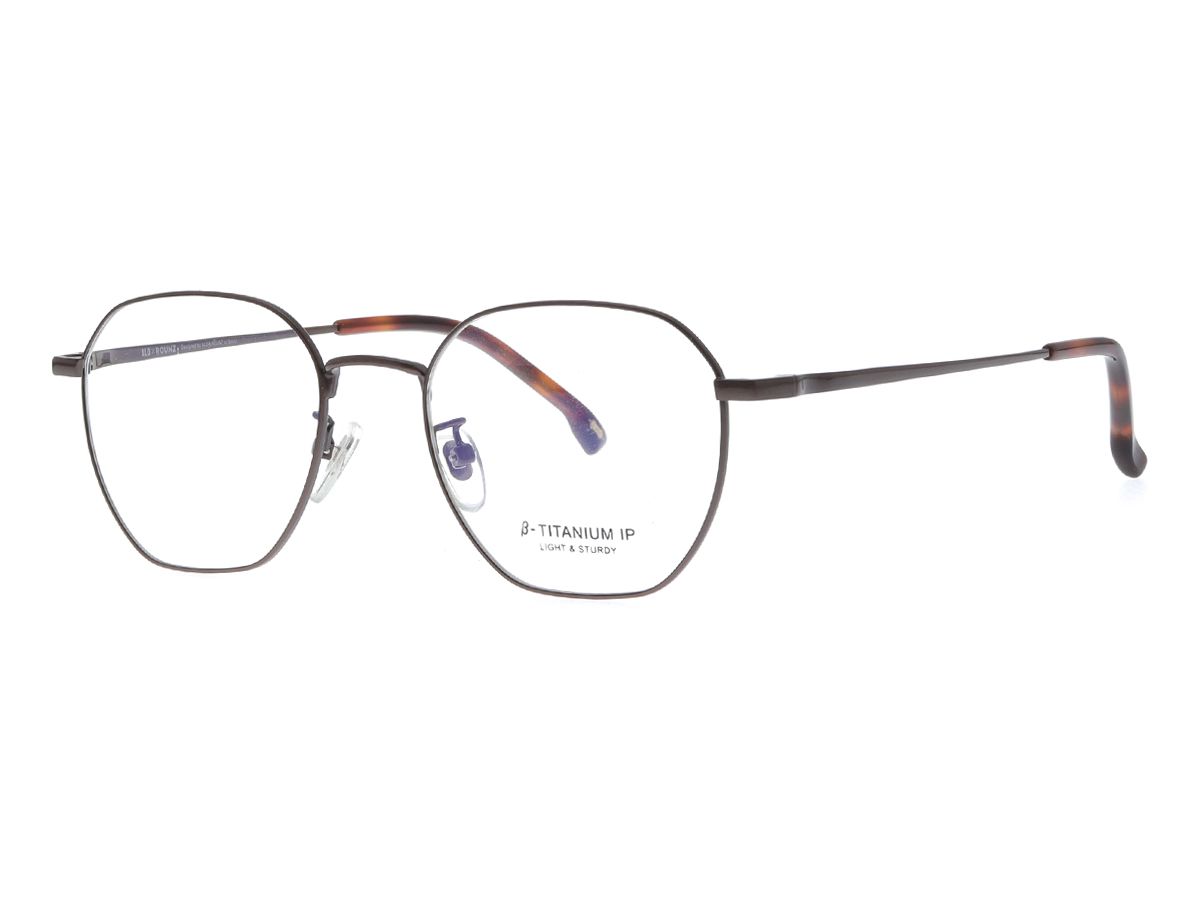 알로아이웨어(ALO EYEWEAR) [ALOXROUNZ] AR8008A C4 폴리곤 베타티타늄 IP도금 안경