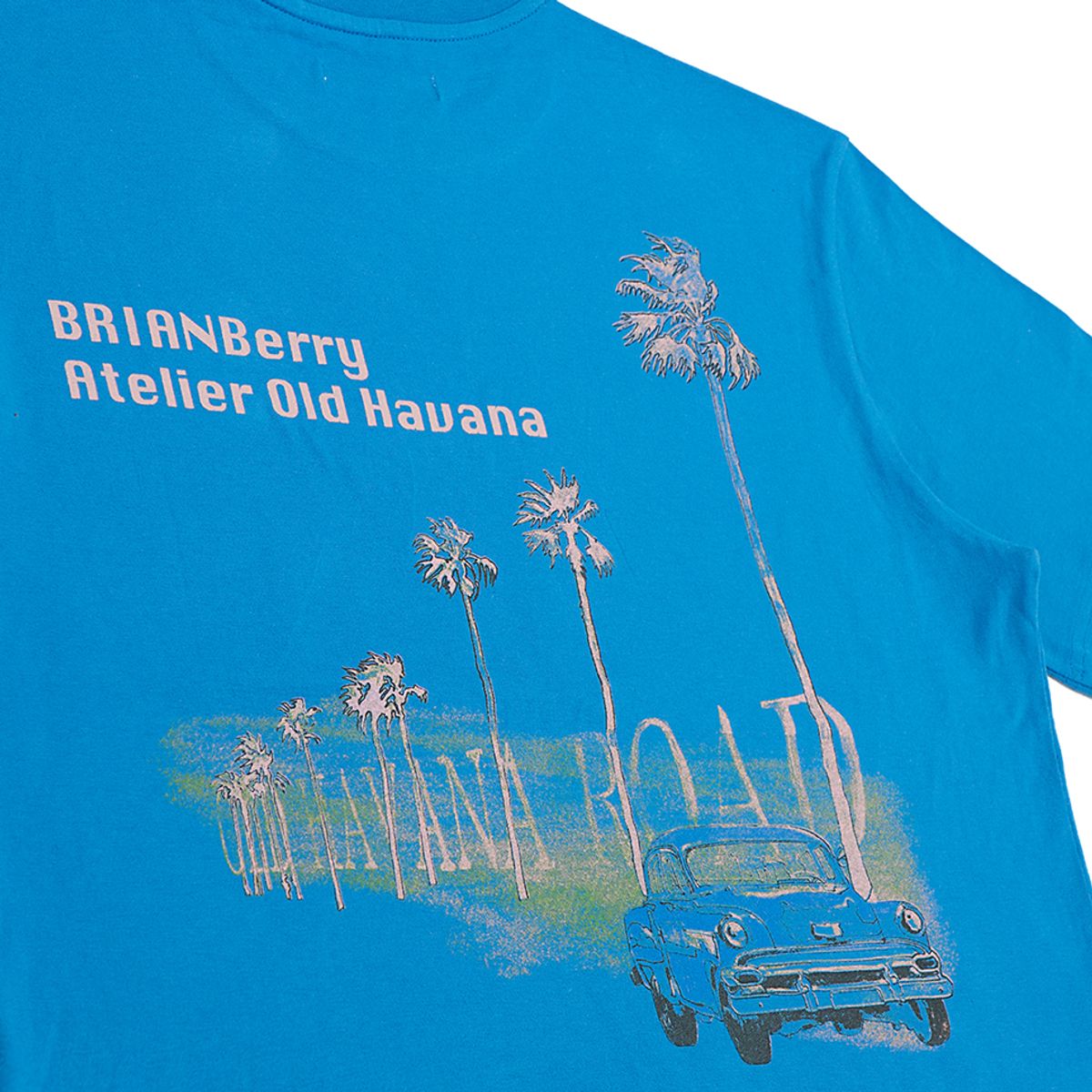브라이언베리(BRIAN BERRY) GRANMA GRAPHIC TEE_BLUE