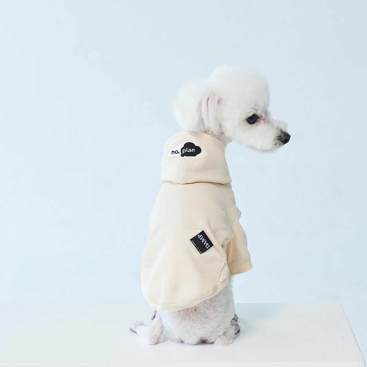 돈애스크마이플랜(DAMP) NO PLAN 클라우드 로고 퍼피 후디_아이보리