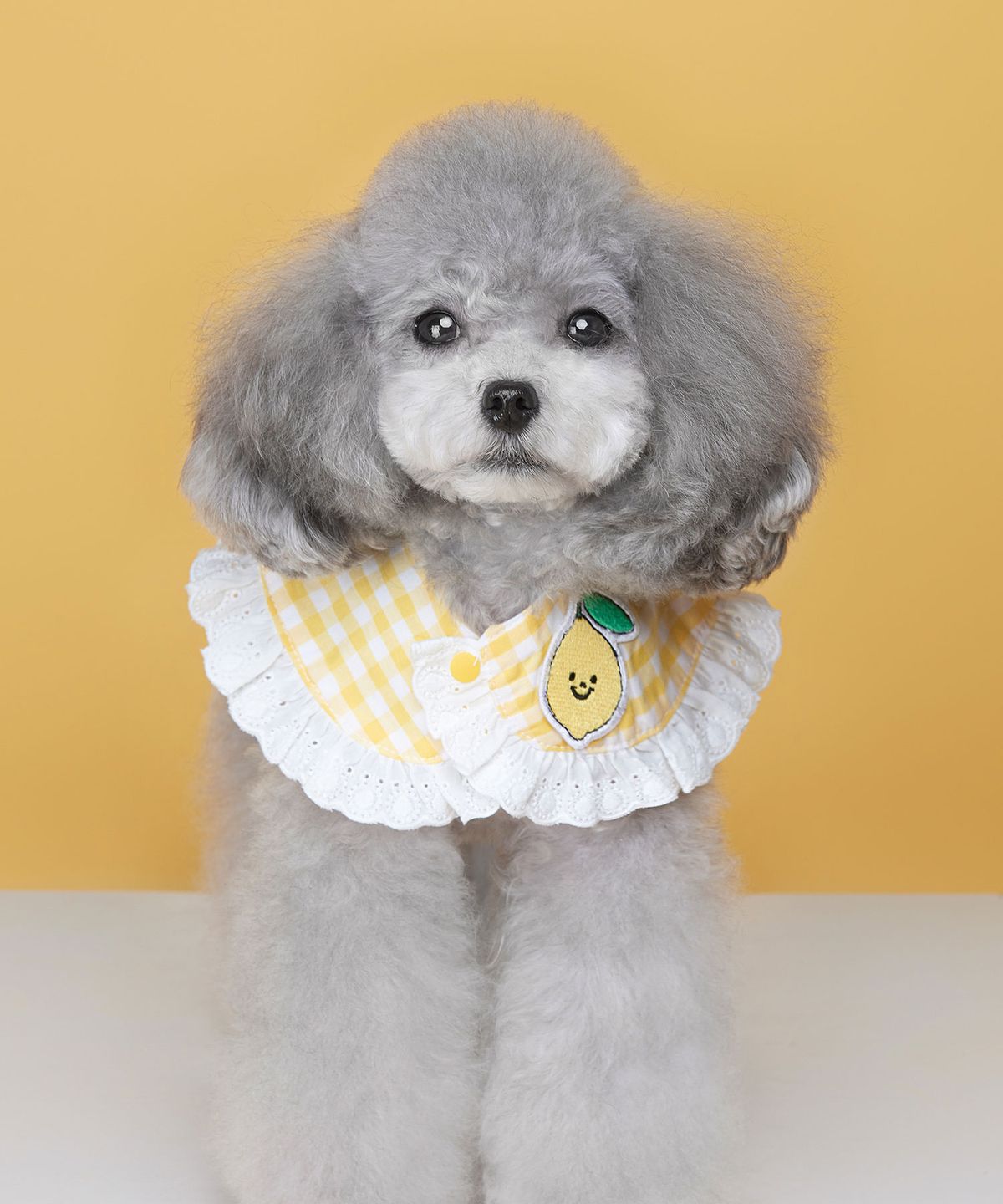 위드토리(WITH TORY) 과일 체크 강아지 고양이 케이프 (3가지 컬러)