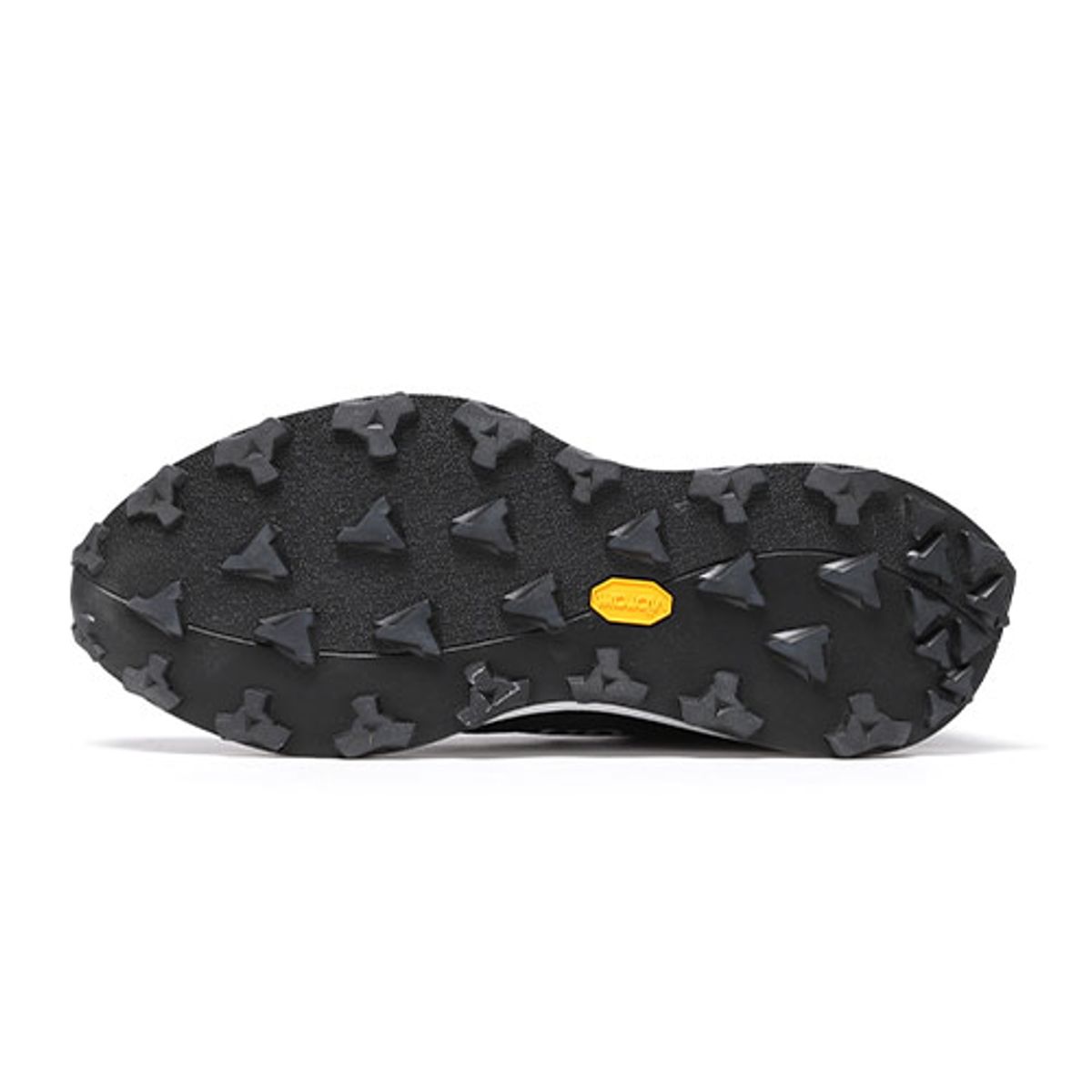 내셔널지오그래픽(NATIONALGEOGRAPHIC) N213USN310 밴가드 GTX BLACK