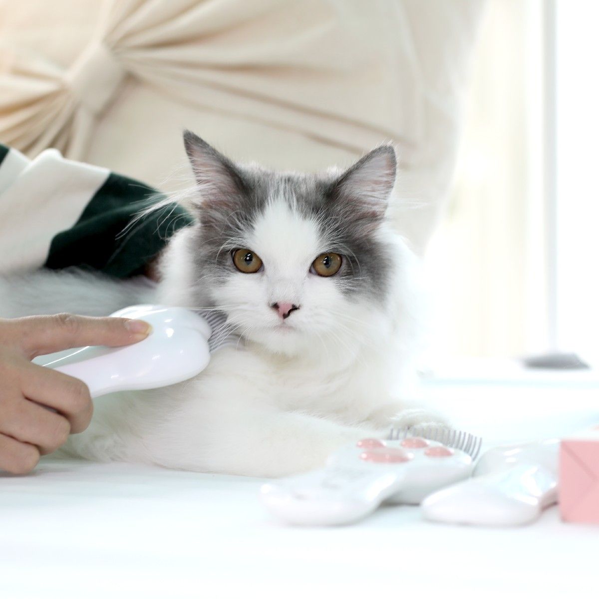 펫케어(PETCARE) 레이저빗